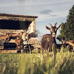 le-domaine-du-castellas.fr-provencehotel.com/