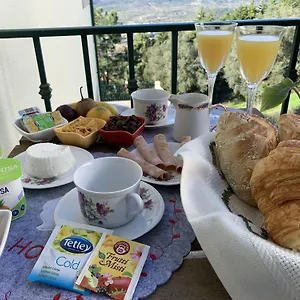 Charming Cozy Retreat - Terrace & Private Balcony Bed & Breakfast Coimbra